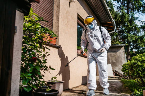 Best Best Pest Control Companies  in Hamilton, OH
