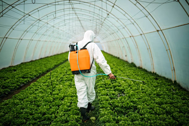 Best Residential Pest Control  in Hamilton, OH