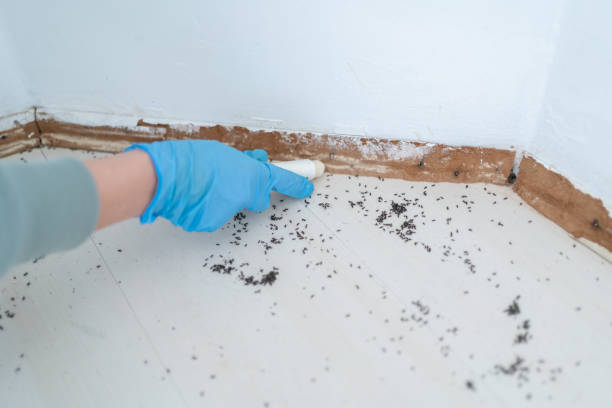 Best Pest Control for Restaurants  in Hamilton, OH