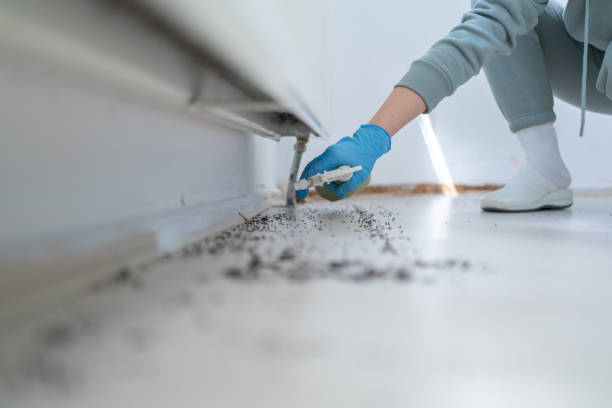 Best Cockroach Control Services  in Hamilton, OH